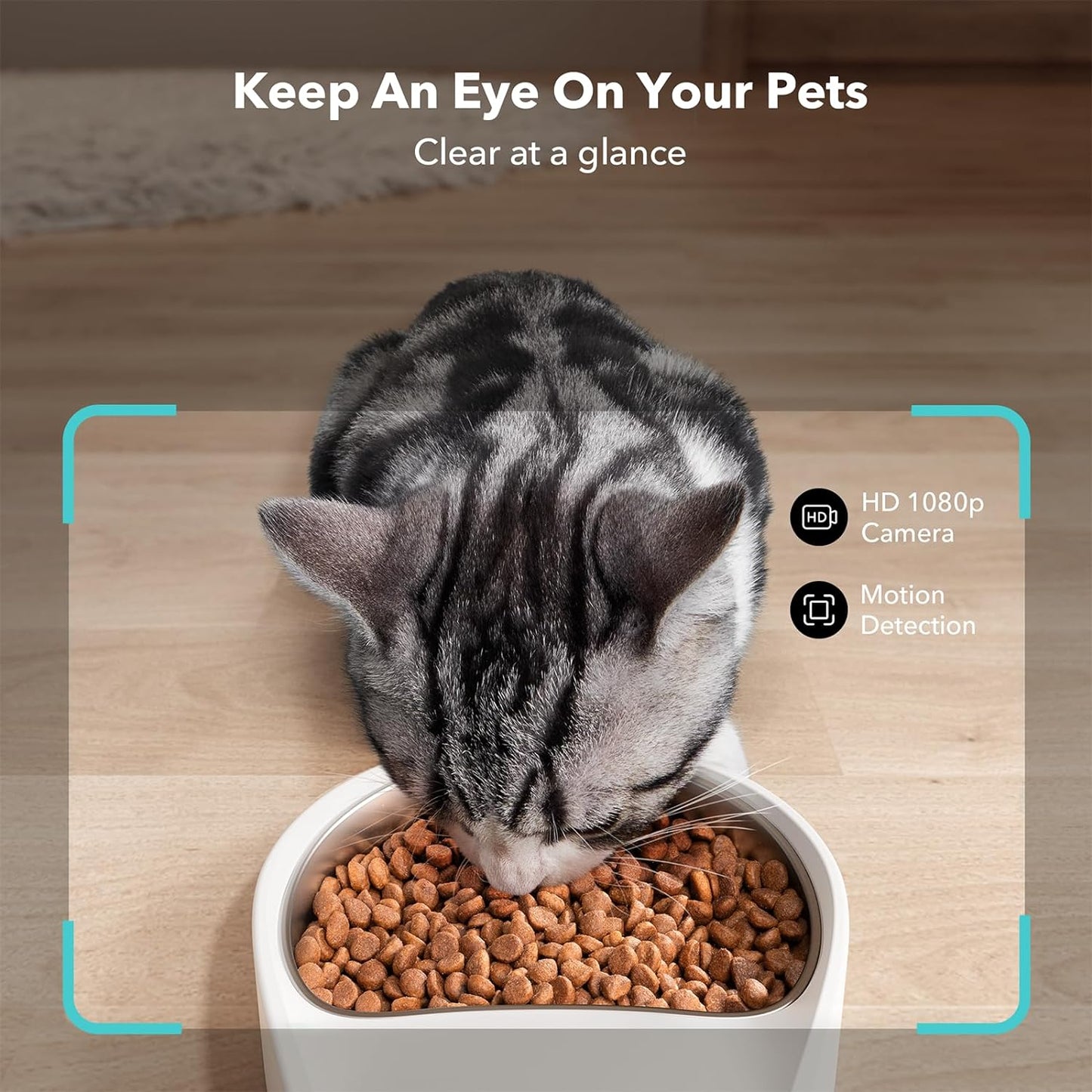PETLIBRO Granary Camera Monitoring Feeder - 5L Automatic Cat Feeder with Camera, 1080P Night Vision, 5G WiFi 2-Way Audio, Low Food Sensor, Motion & Sound Alerts for Cat & Dog Single Tray