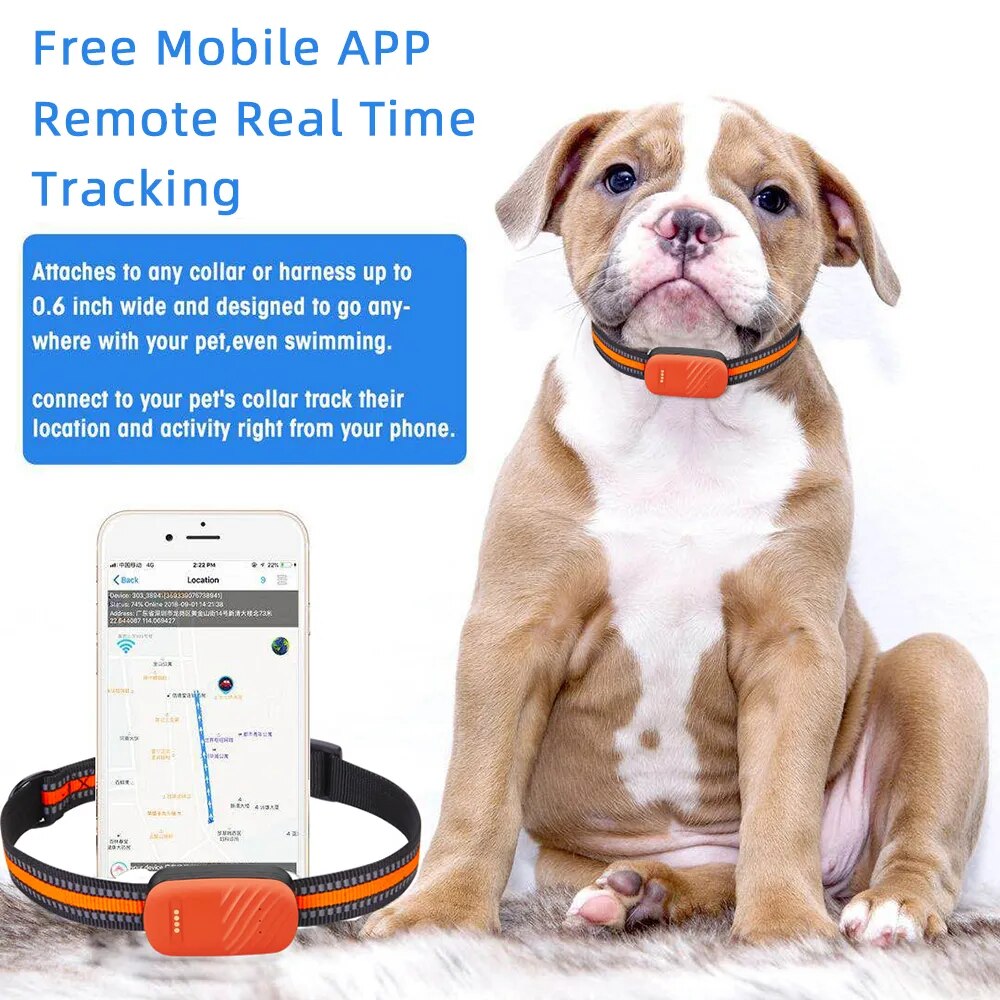 4G Pet Collar GPS Tracker - Electronic Geo-Fence for Dogs Cats IP67 Waterproof Real-time Anti-lost Alarm Tracking Device Locator