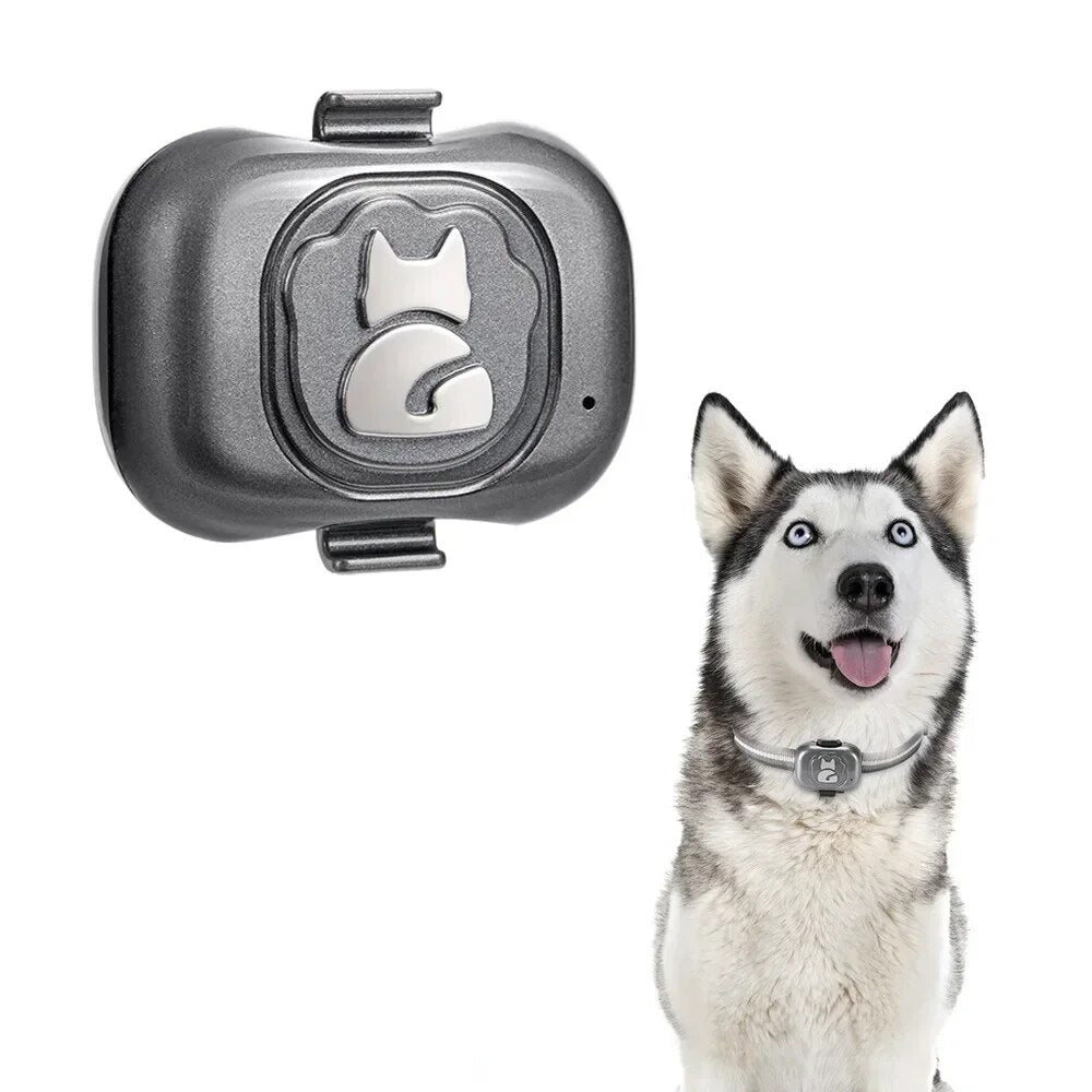 Dog Collar Pet Locator Cat and Dog GPS Collar - Locator Anti-lost Artifact Smart Dog Training