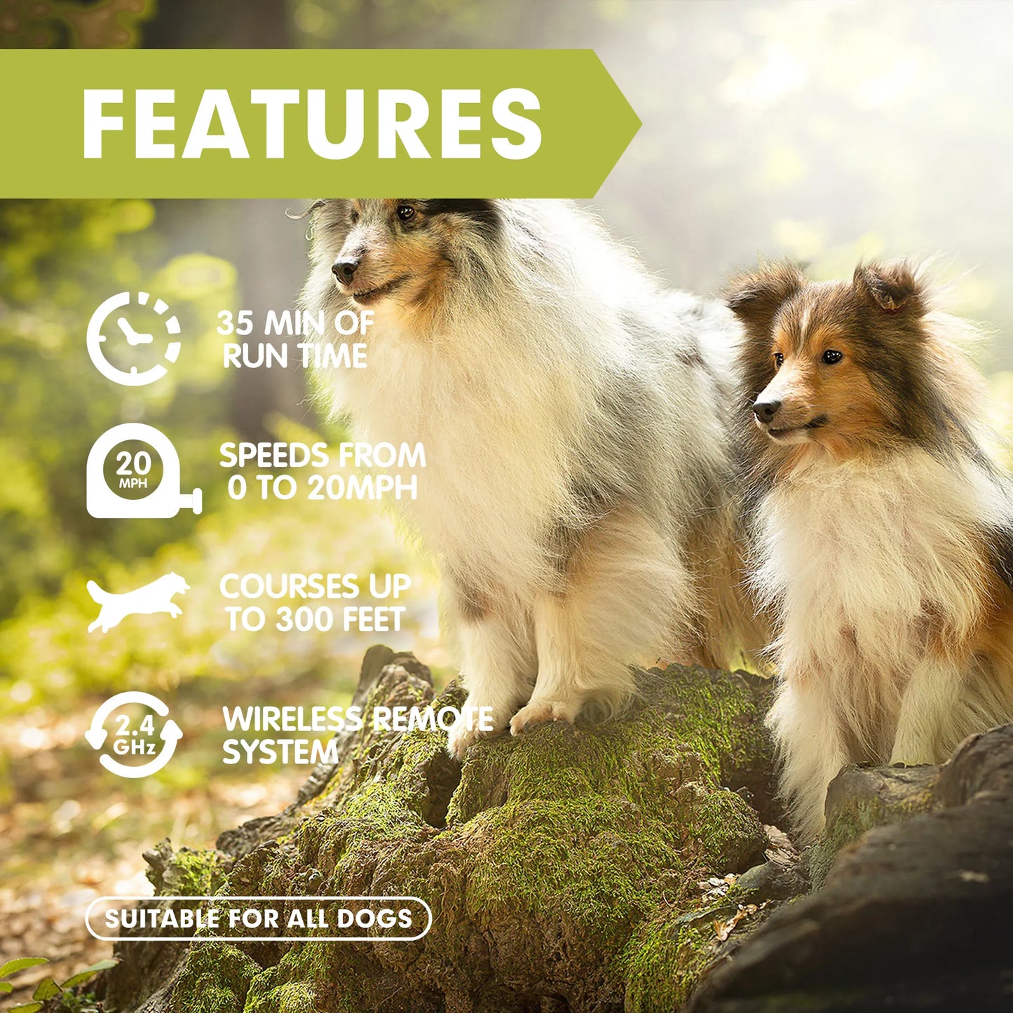 DAHOUHOU Interactive Dog Toys - Lure Course Machine for Dogs Agility Training Equipment for Dogs