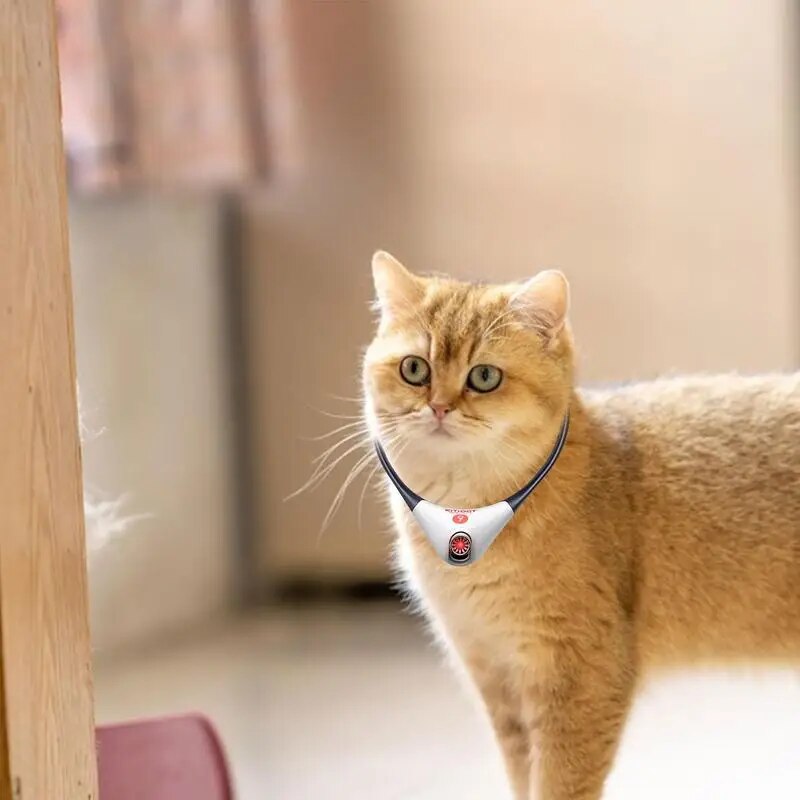 Wearable Cat Toys With LED Lights - Wearable Electric Smart Amusing Collar Soft Electric Smart Collar Pet Exercise Toy For Small