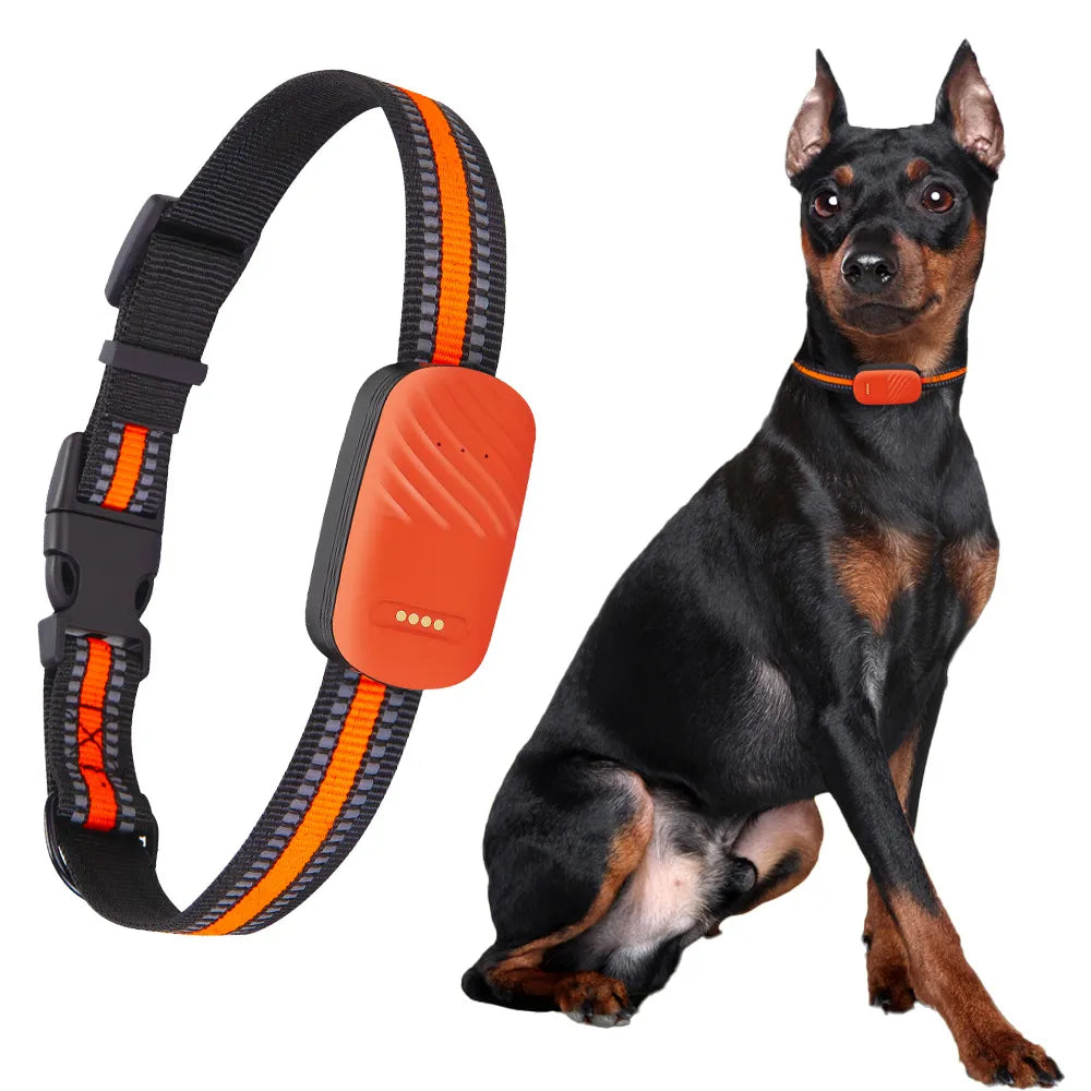 4G Pet Collar GPS Tracker - Electronic Geo-Fence for Dogs Cats IP67 Waterproof Real-time Anti-lost Alarm Tracking Device Locator