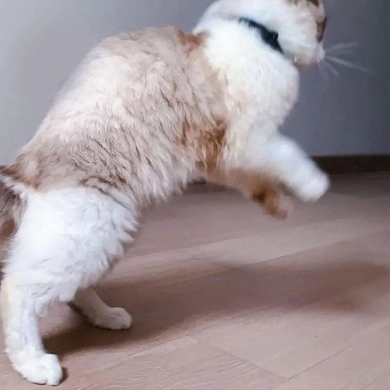 Wearable Cat Toys With LED Lights - Wearable Electric Smart Amusing Collar Soft Electric Smart Collar Pet Exercise Toy For Small