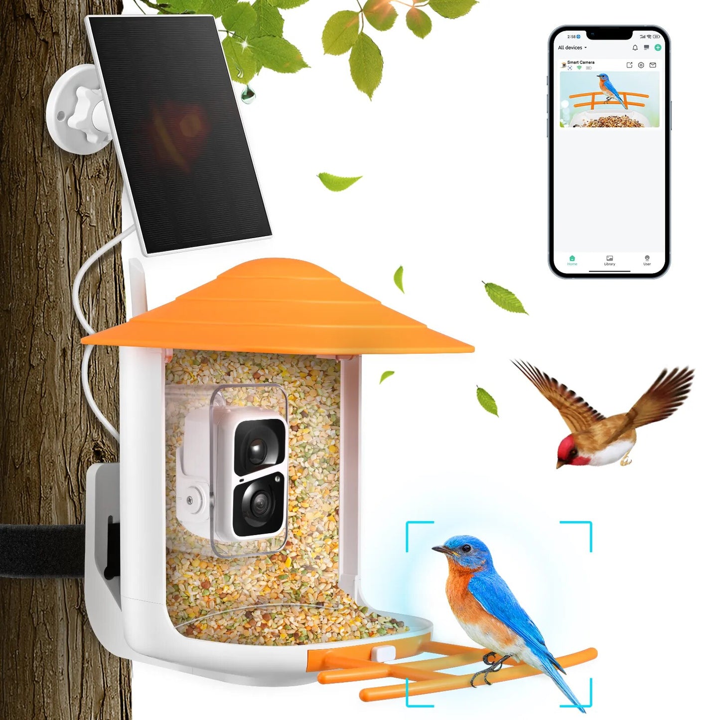 47100287418677|47100287451445|47100287484213|47100287516981|47100287549749|47100287582517