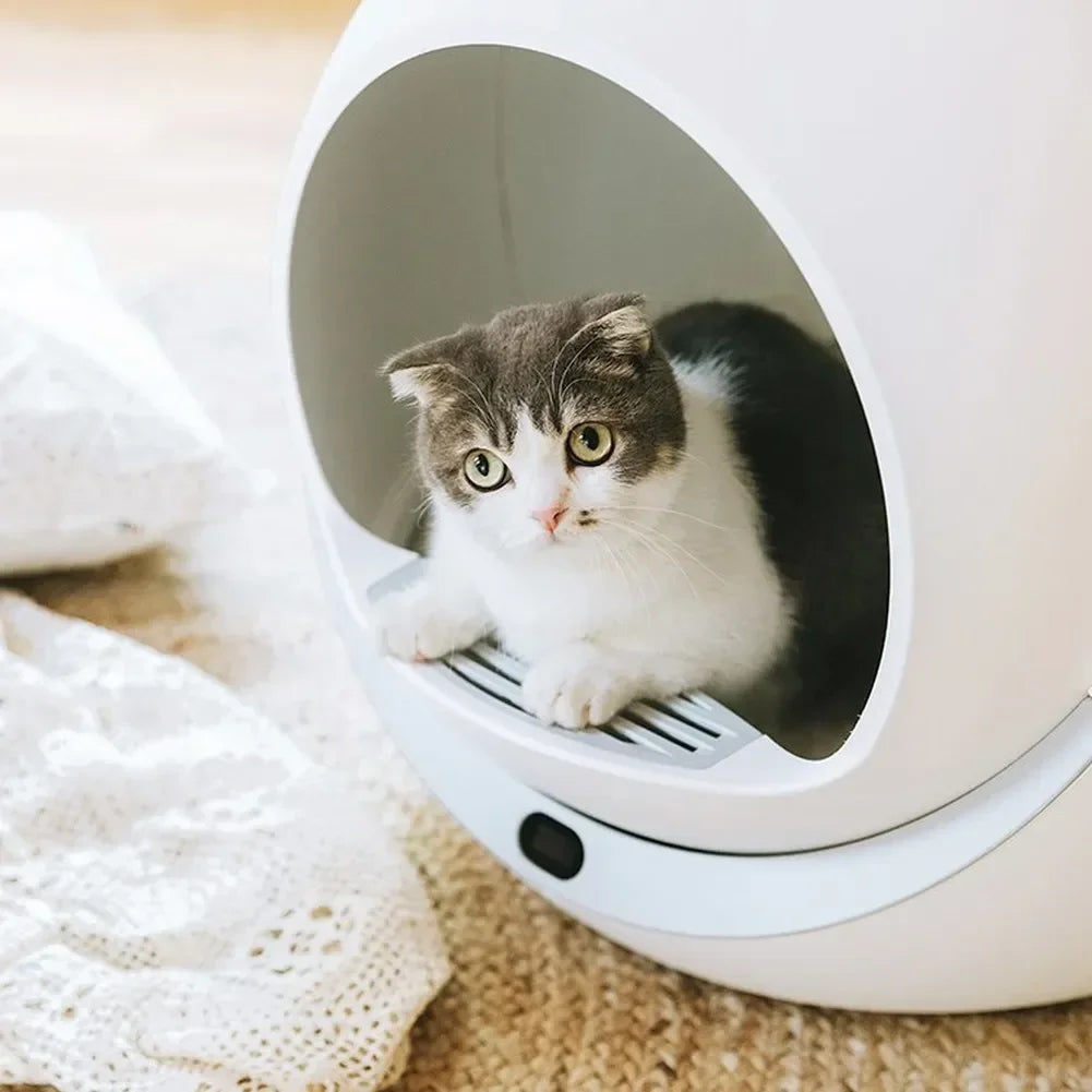 Automatic Cat Litter Box - Smart Self Washing Self Flushing Cat Tray Toilet Litter Bedpan Enclosed Inteligent Luxury Pet Washroom