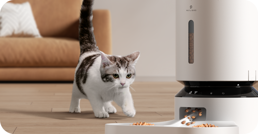 PETLIBRO Automatic Cat Food Dispenser, Smart Pet Feeder with scheduled feeding, app control, and stainless steel bowl.