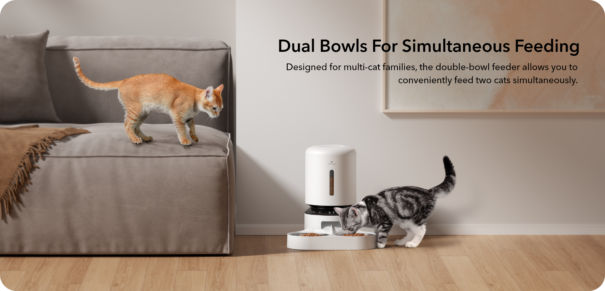 PETLIBRO Automatic Cat Food Dispenser, Multi-cat household feeder for up to 2 cats, promoting harmony and convenience.