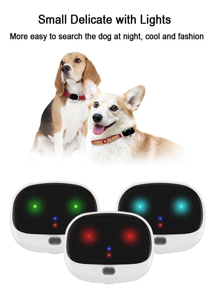 Mini 4G Pet GPS Tracker, Track your dog's location at night with a small, waterproof device featuring bright lights.