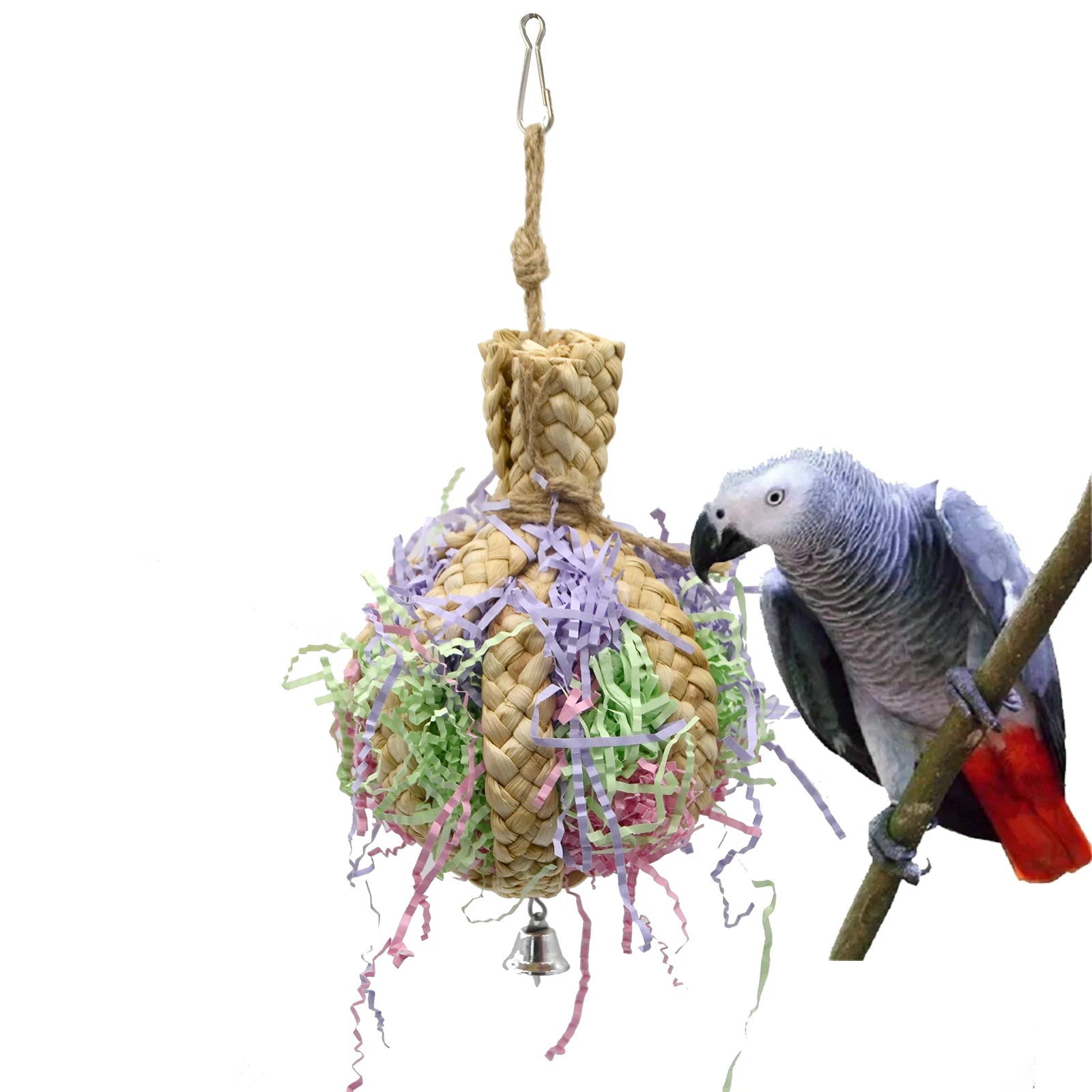 Parrot Shredder, Handmade product measurements may vary by 1-3cm due to unique craftsmanship.