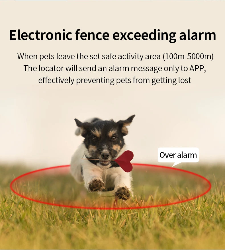 G12 Mini GPS GSM Wifi LBS tracker, Tracks pets' location beyond 100m-5000m range, sending alerts to ensure quick recovery in case of escape.