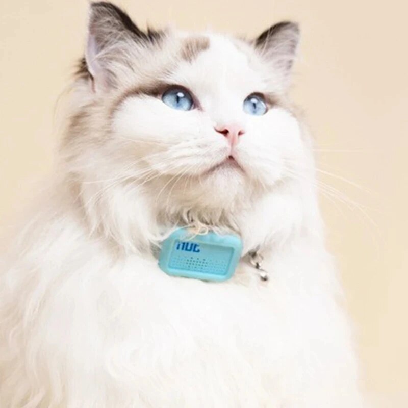 GPS Pet locator collar - cat smart positioning tracker Lightweight bluetooth anti-lost collar Cat accessories Pet supplies