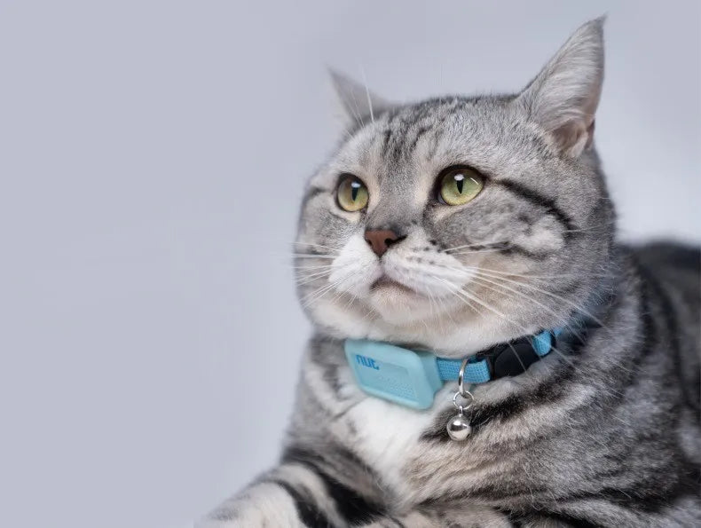 GPS Pet locator collar, Track your cat's location with peace of mind, eliminating worries about them getting lost.