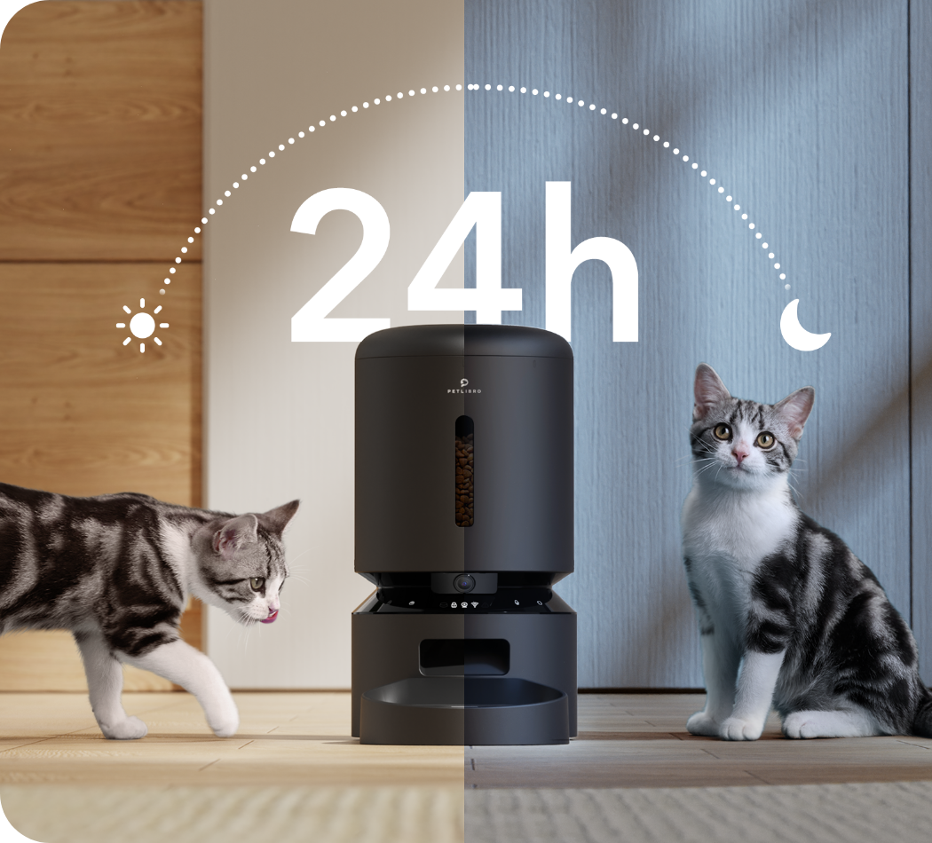 PETLIBRO Granary Camera Monitoring Feeder, Smart cat feeder with app control, camera, microphone, and speaker for indoor use.