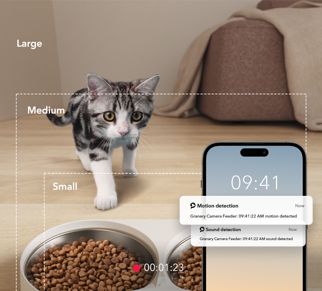 PETLIBRO 5L Automatic Cat Feeder, Real-time motion and sound detection with alerts sent to phone.