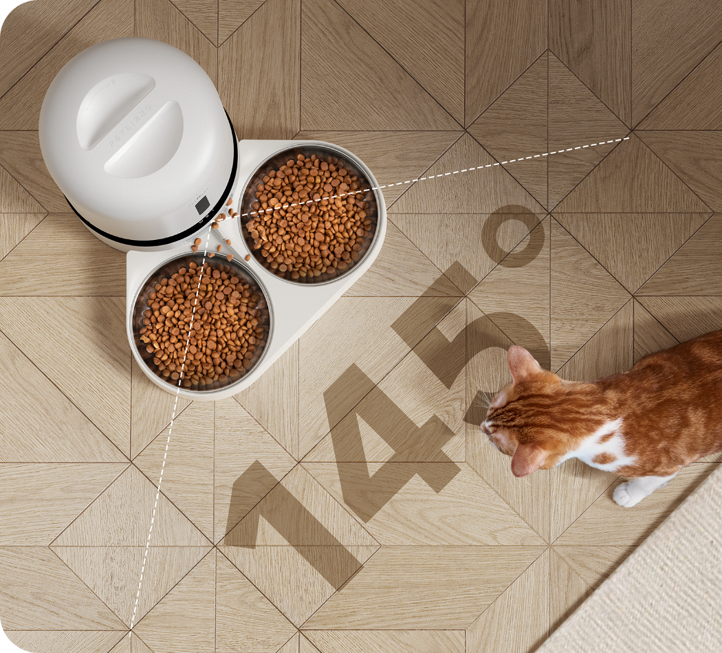 PETLIBRO 5L Automatic Cat Feeder, Pet-friendly; suitable for cats and small to medium-sized dogs.