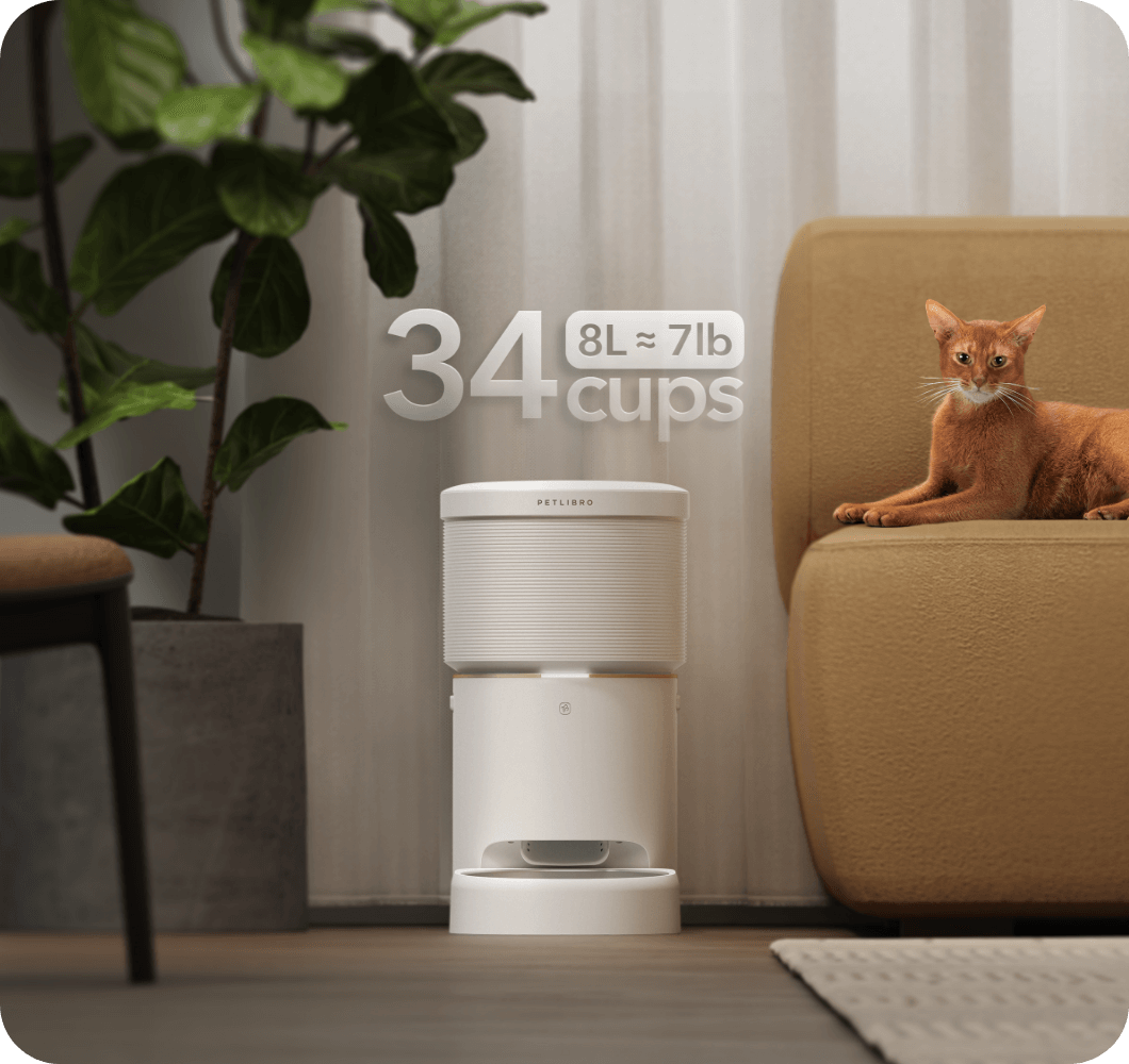 PETLIBRO Vacuum-Sealed Automatic Cat Feeder, Large, shallow bowl for comfortable eating by cats and dogs.