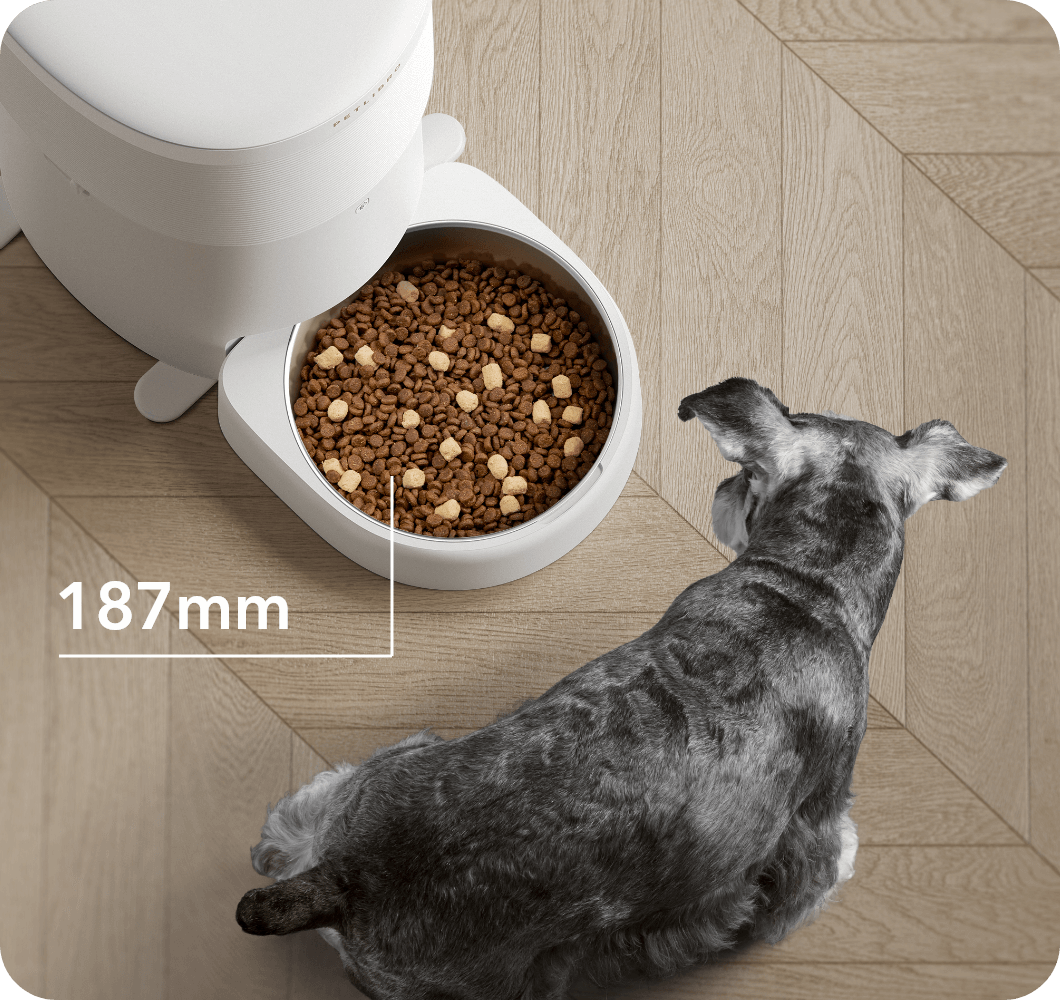 PETLIBRO Vacuum-Sealed Automatic Cat Feeder, Whisker fatigue
