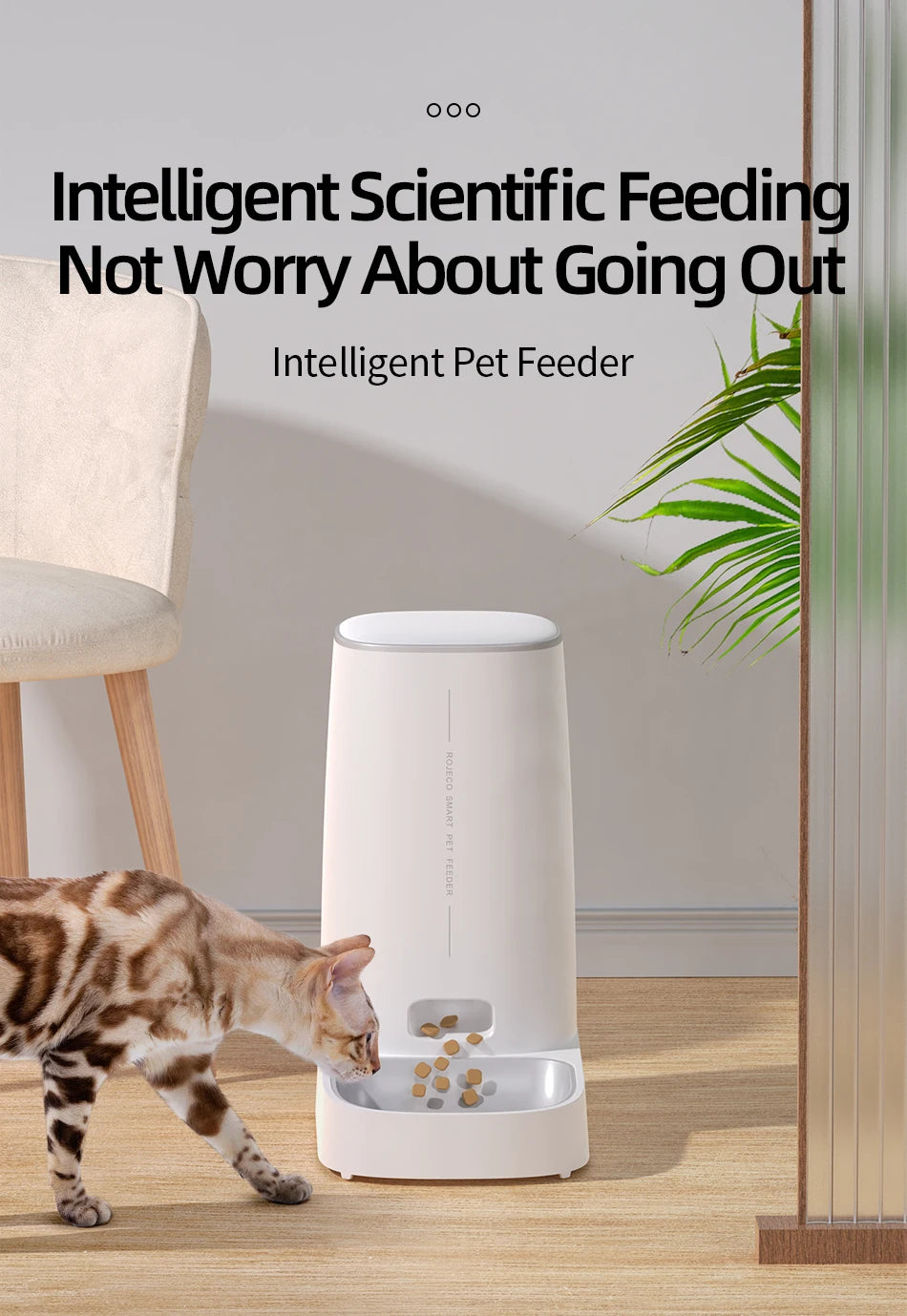 ROJECO 4L Automatic Cat Feeder, Automated pet feeding system ensures timely meals without worrying about being away.