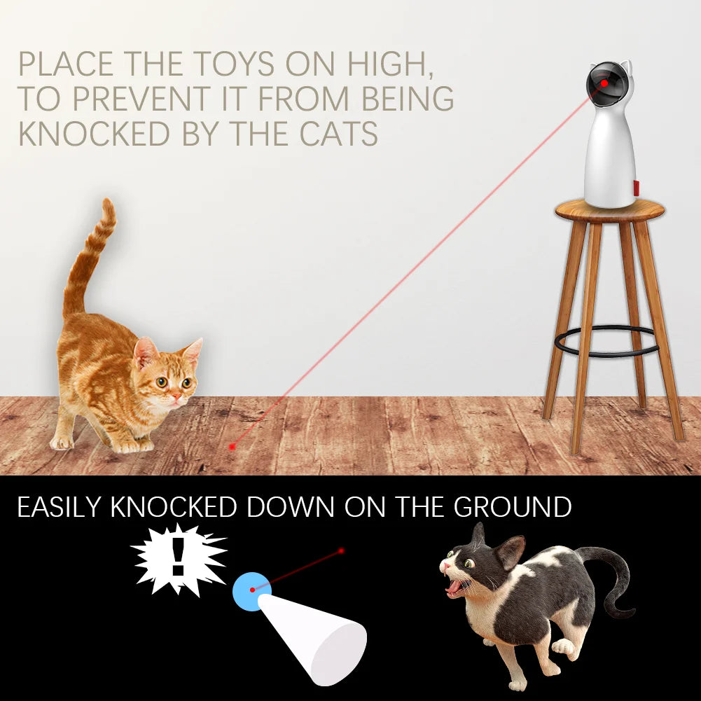 Cats love chasing laser lights; keep toys off floor to avoid knockdowns.