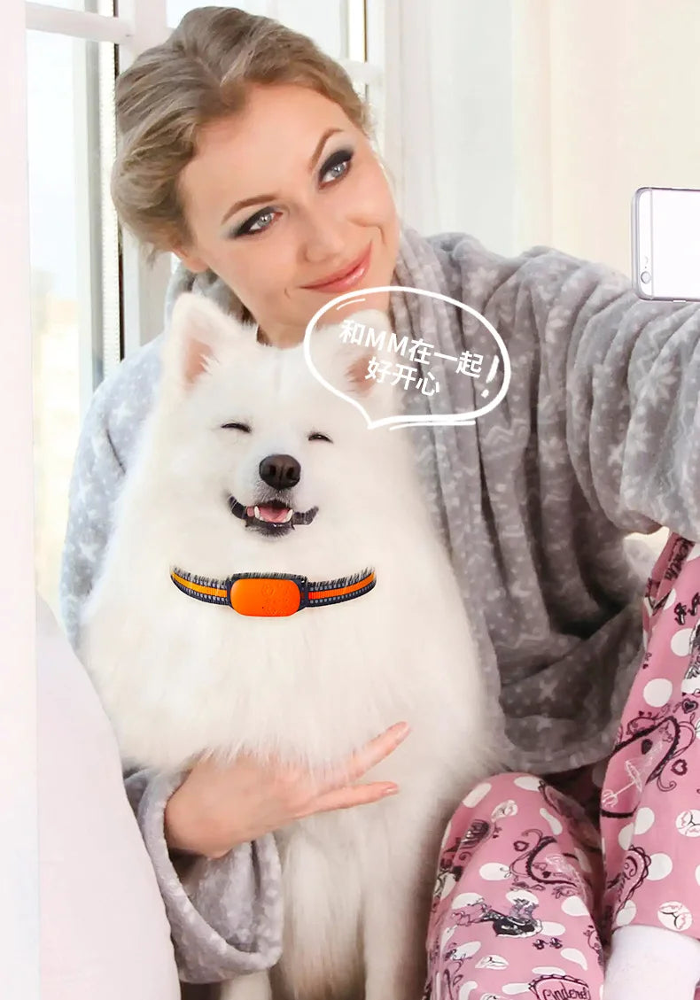 Durable Pet Tracker