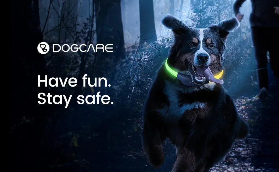 DOGCARE LC01 LED Dog Collar, Smart dog collar with LED lights and GPS tracking for safe and visible walking.