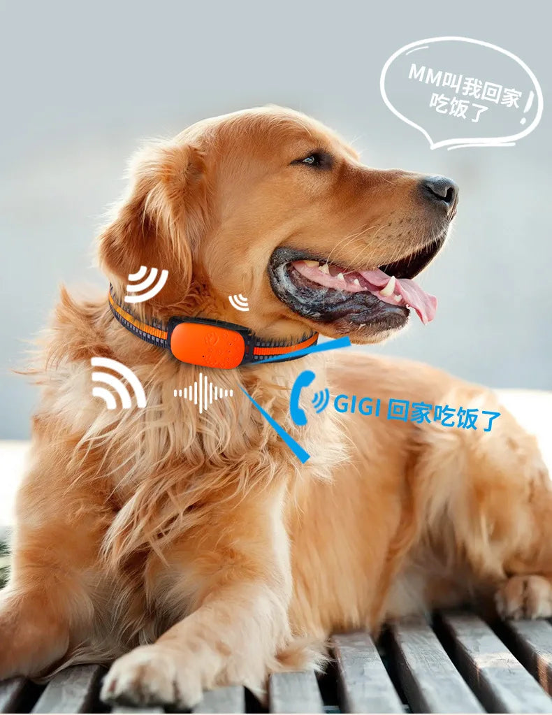 GPS Pet Locator with Virtual Fencing for Peace of Mind