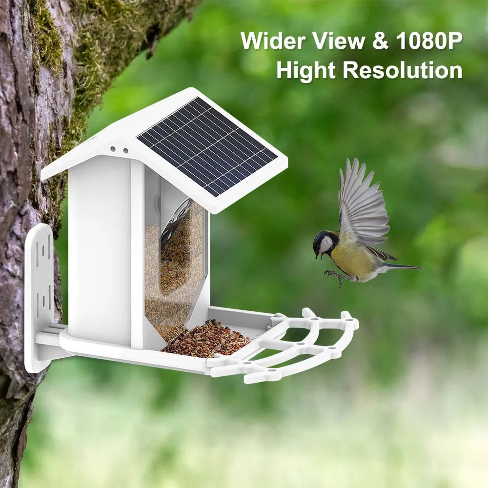 Bird Feeder Video Camera, Captures a wider view with high-definition 1080p resolution.