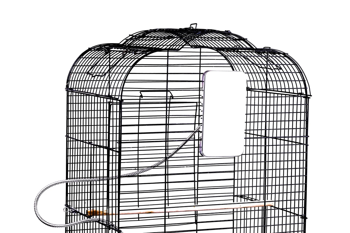 Birds Thermostat Lamp, Compact lamp suitable for medium to large pet birds (7.1 x 4 inches)