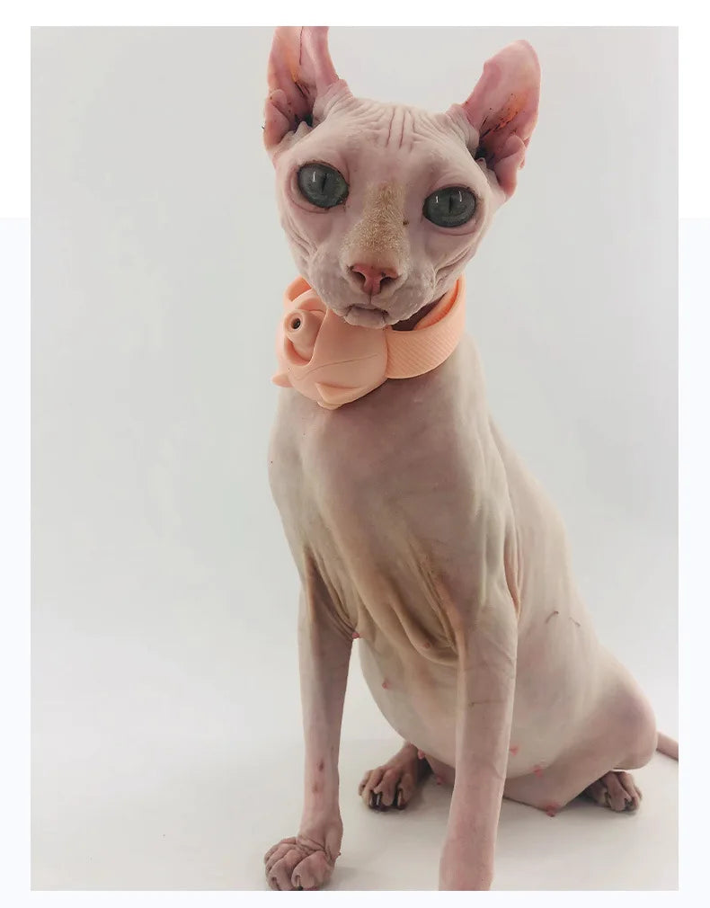 Pet Laser Cat Cheering Collar, Cats' laser cheering collar, made of plastic from mainland China.