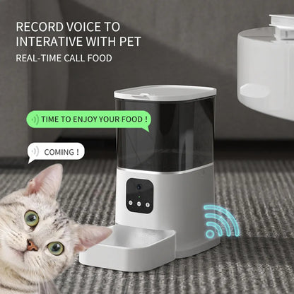 3L 6L Video Camera Feeder - Timing Smart Automatic Pet Feeder For Cats Dog WiFi Intelligent Dry Food Dispenser  Voice Recorde Bowl