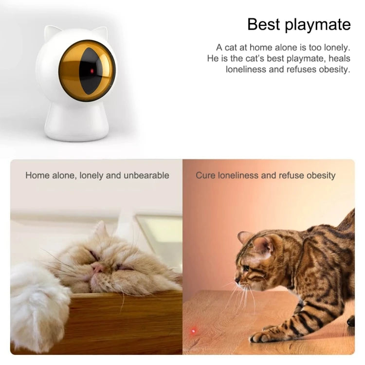 Interactive cat toy for companionship and exercise during owner's absence.
