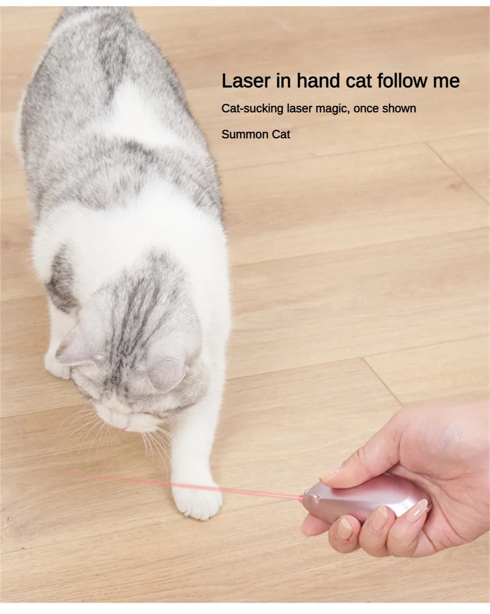 Pet Mouse Laser, Mesmerizing laser light toy attracts and entertains cats, encouraging playful interaction.