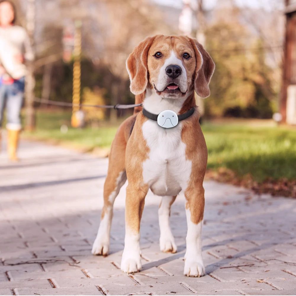 Smart Electronic Pet GPS Tracker Collar, Track your pet's location with this smart collar, featuring WiFi connectivity and waterproof design.