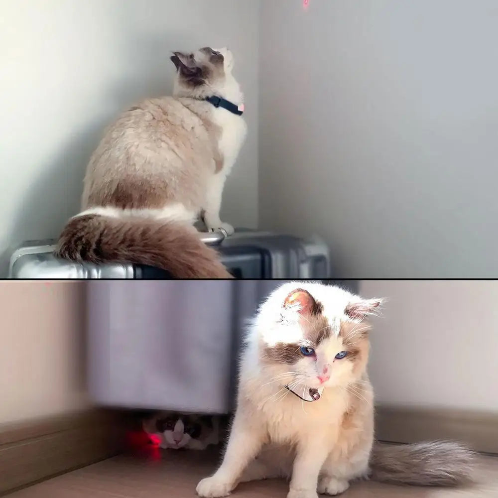 Electric Cat Collar, Lightweight and easy to carry, this toy provides fun and freedom for cats.