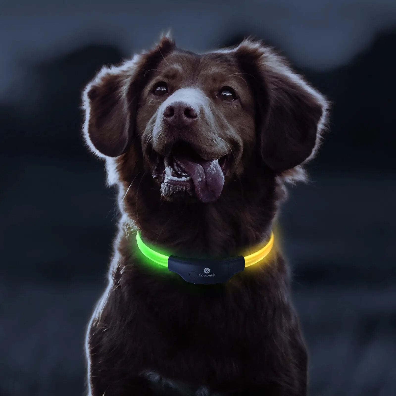 DOGCARE LC01 LED Dog Collar, Pet visibility extender reaches 1,200 feet, increasing visibility for pets walking with owners.