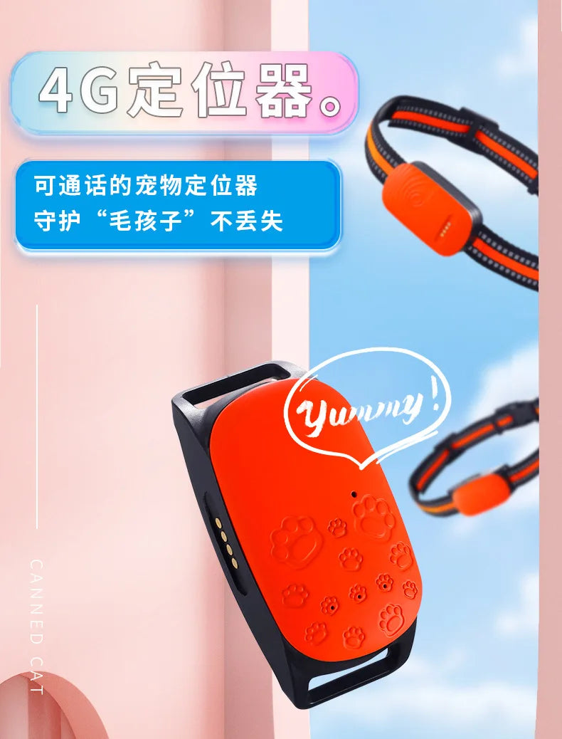 Pets bring happiness, friendship, and playfulness.