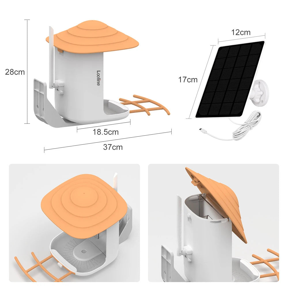 New Bird Feeder, Wildlife monitoring camera captures AI-recognized bird feeder activity and species.