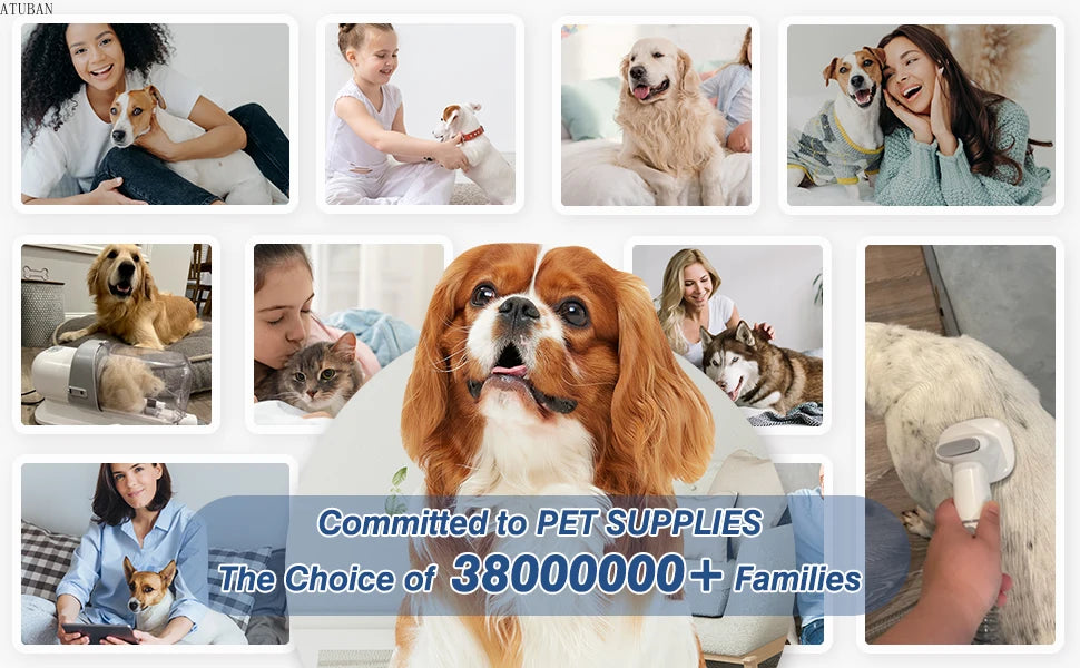Reliable pet supplies trusted by millions of families globally.