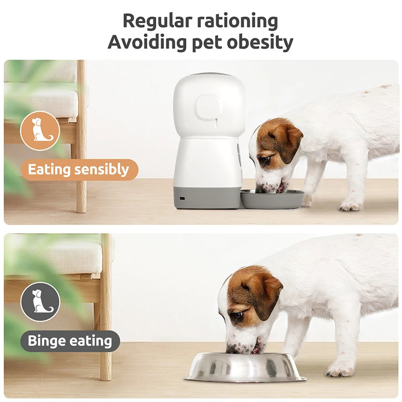 Cat Timing Feeder, Promote healthy eating habits by regulating portions and preventing overeating.