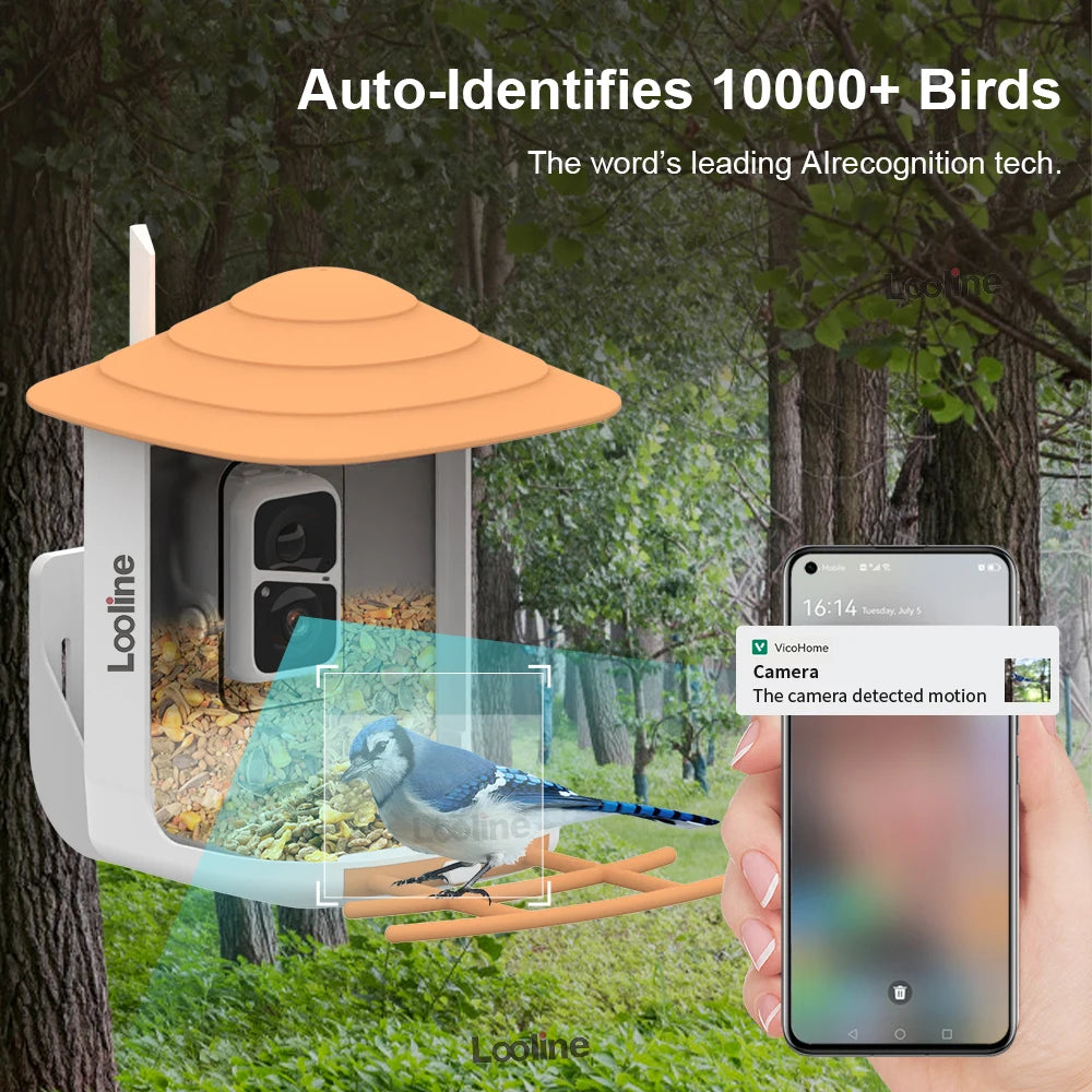 New Bird Feeder, AI-powered bird identification and motion detection with alert notifications for over 10,000 species.