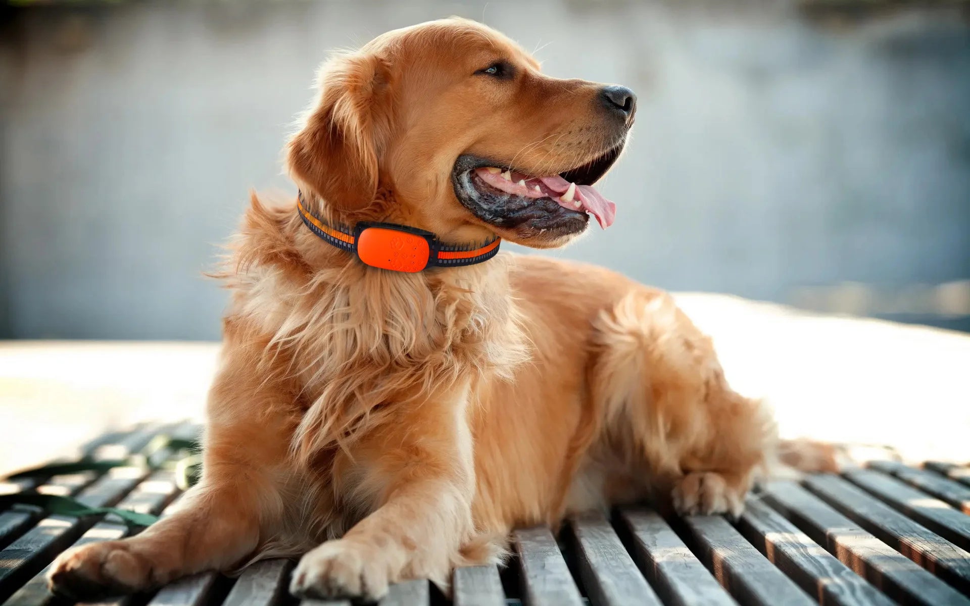 Pet locator with 4G frequency band and accessories: packaging, charging wire, manual, collar, and locator.