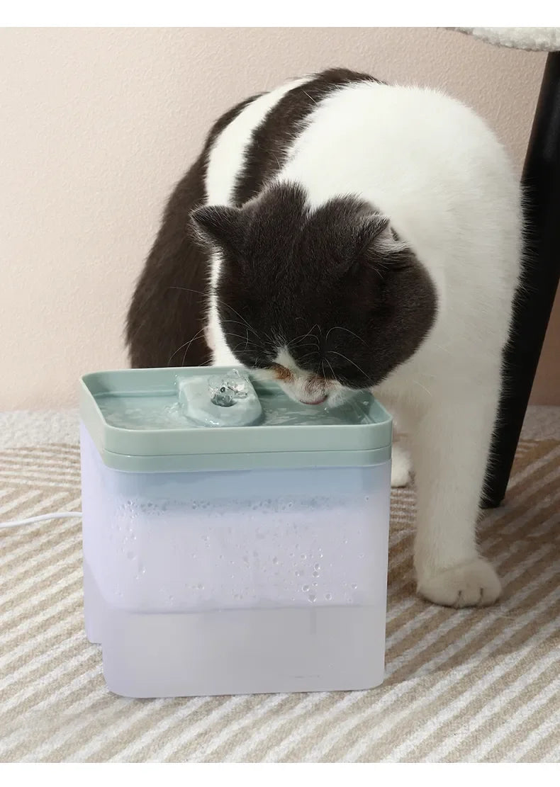 Cat Water Fountain, Disassembleable design allows for easy cleaning of every detail.