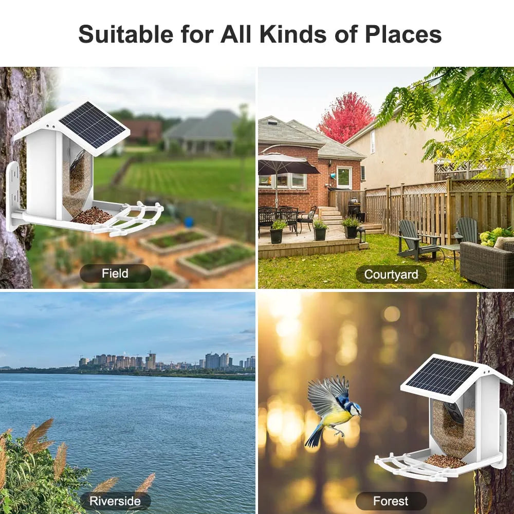 Bird Feeder Video Camera, Outdoor camera for nature enthusiasts to capture birdwatching moments.