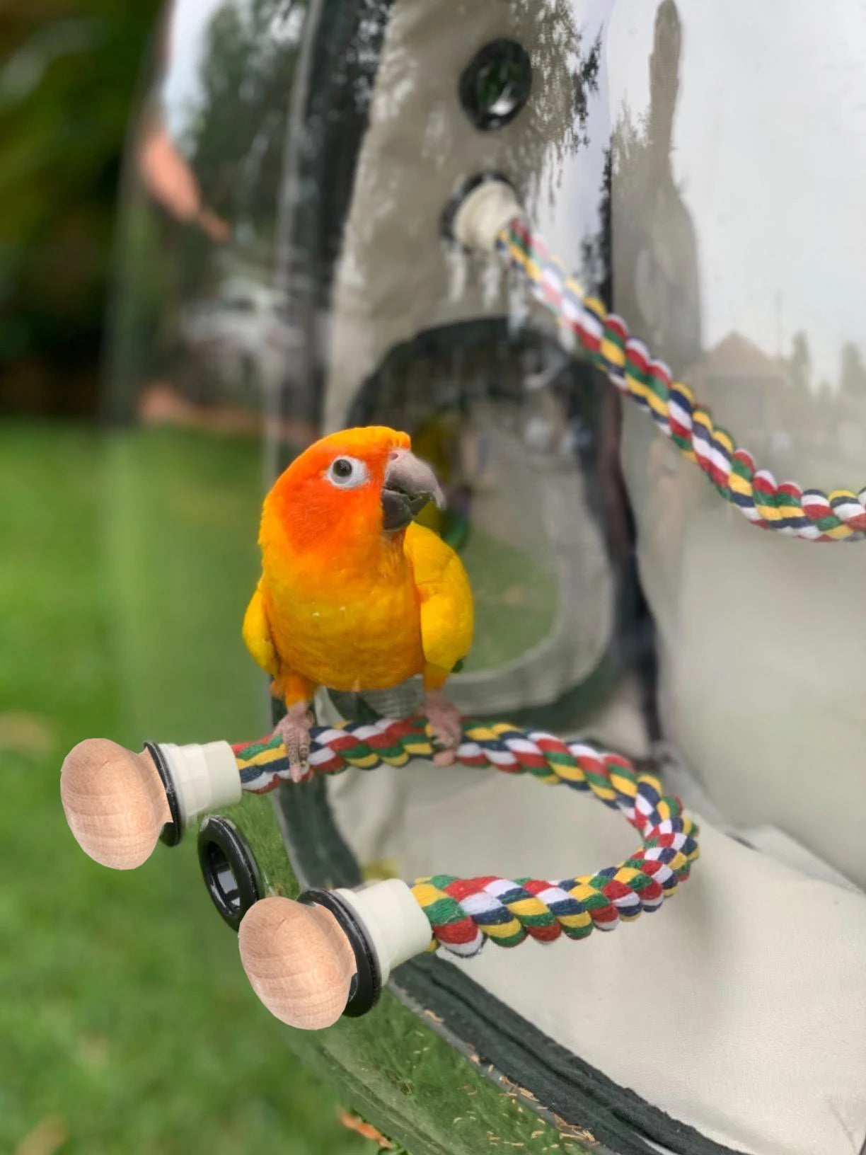 Bird Travel Carrier Backpack, Halinfer Parakeet Backpack: Green, adjustable, and secure travel carrier for small birds like parakeets, parrots, and cockatiels.