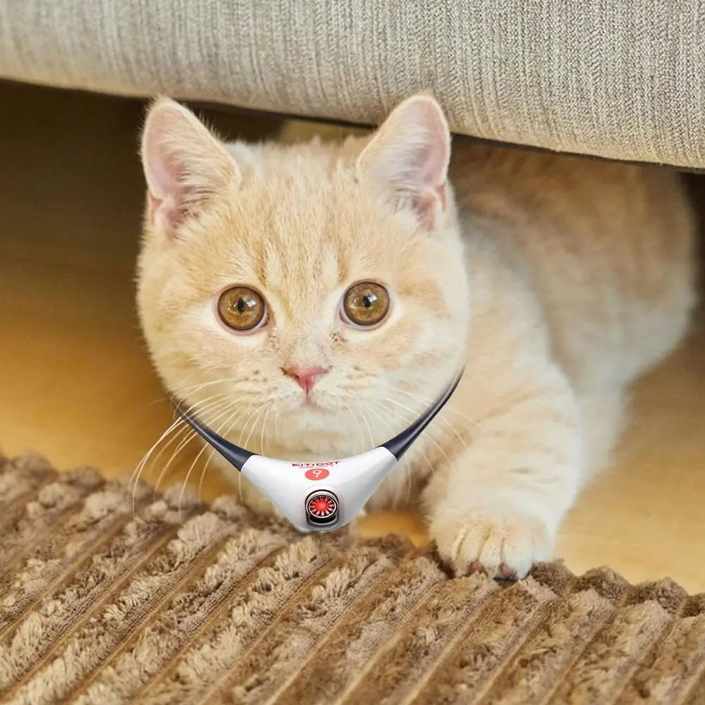 Wearable Cat Toys With LED Lights, Endless feline pleasure with a small collar battery lasting about a week.