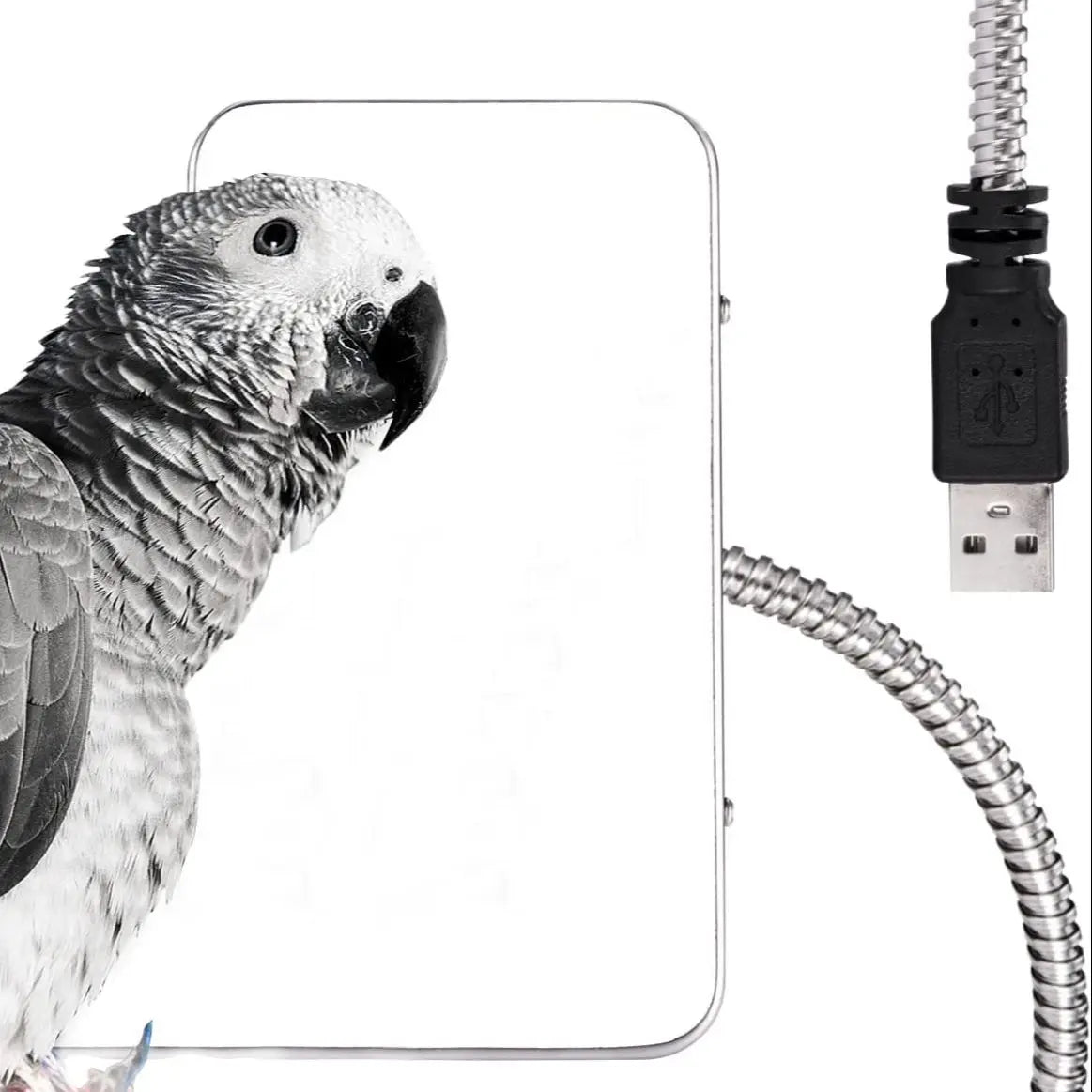Birds Thermostat Lamp, Thermostatically controlled lamp provides warmth for parrots and other birds during cold weather.
