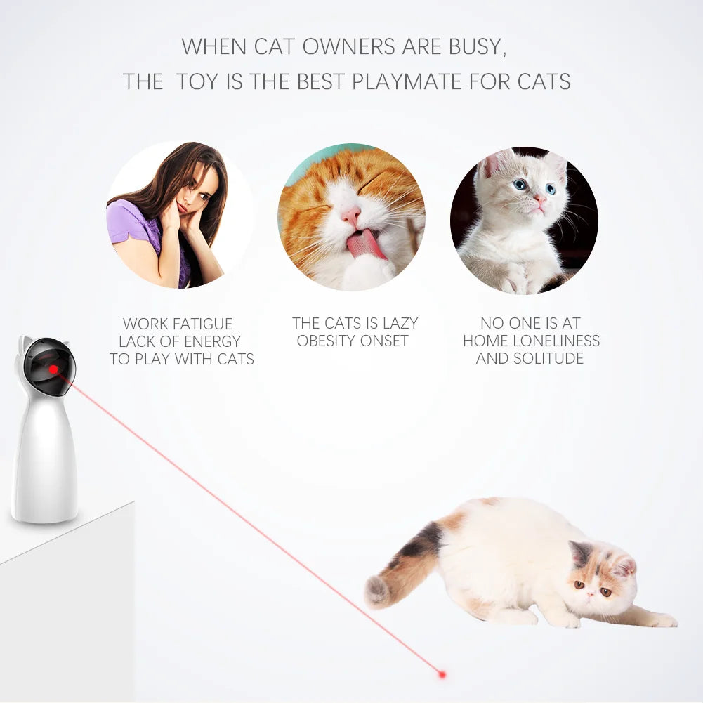 Keeps cats entertained, ideal for homes with obese pets lacking playtime and social interaction.