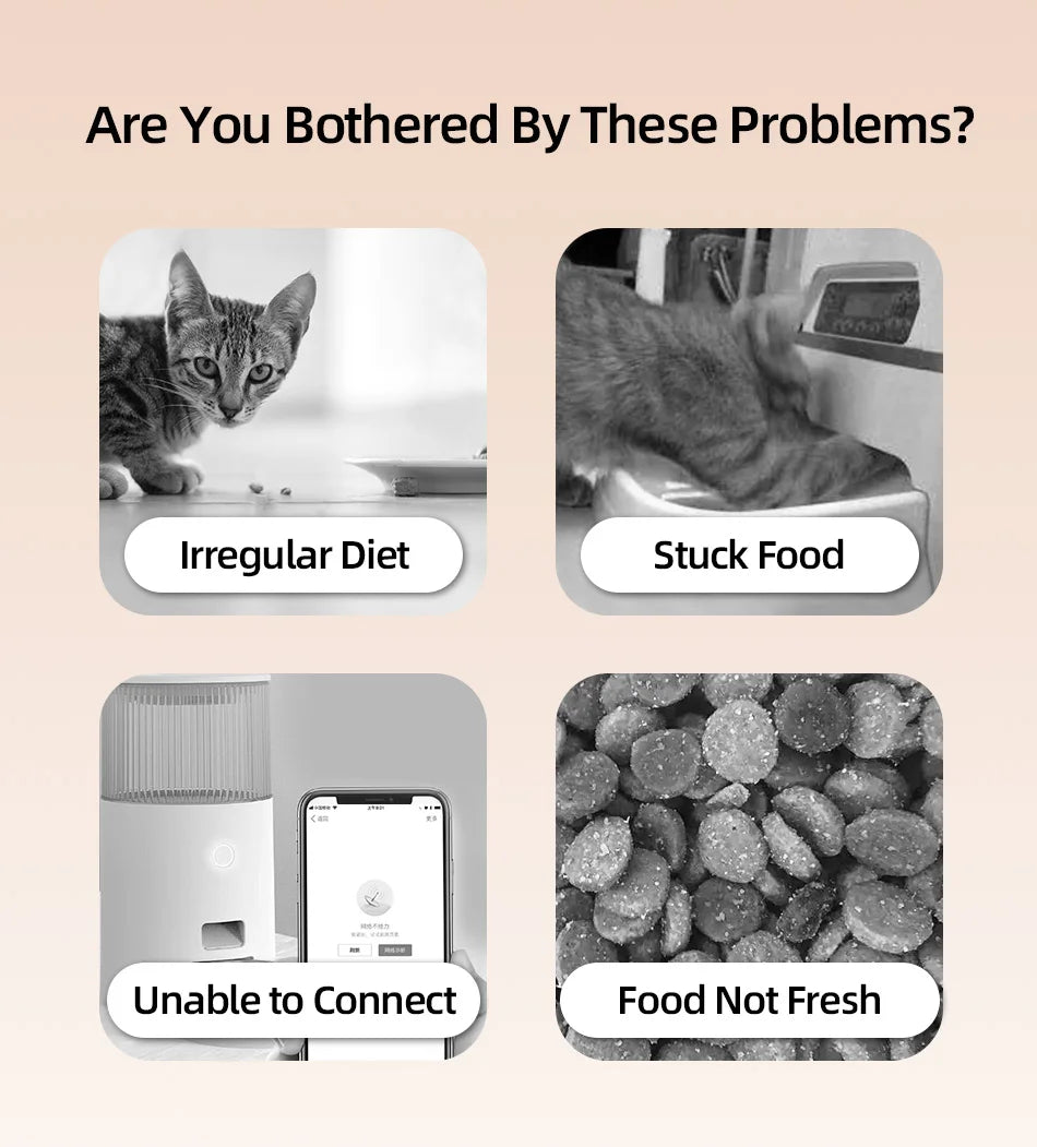 ROJECO 2 Meals Automatic Pet Feeder, Smart Feeder for Timely Pet Nourishment