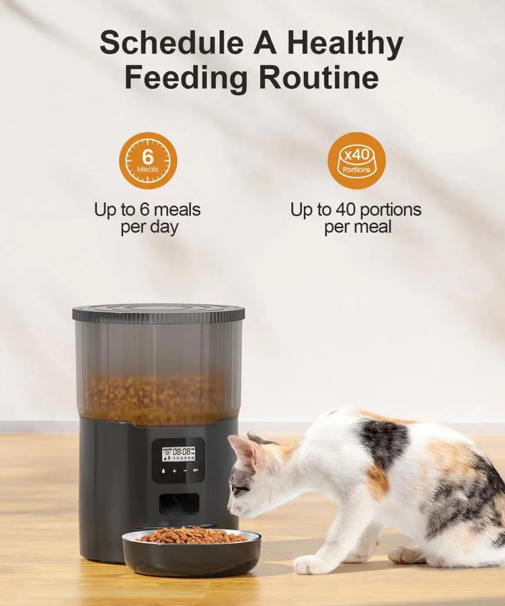 4L Pet Feeder, WIFI-enabled pet feeder and fountain for dogs and cats, with automated food and water dispensing.
