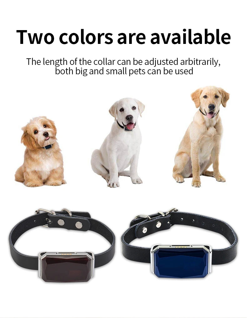 G12 Pet GPS Tracker, Available in two colors, this adjustable collar fits pets of all sizes.